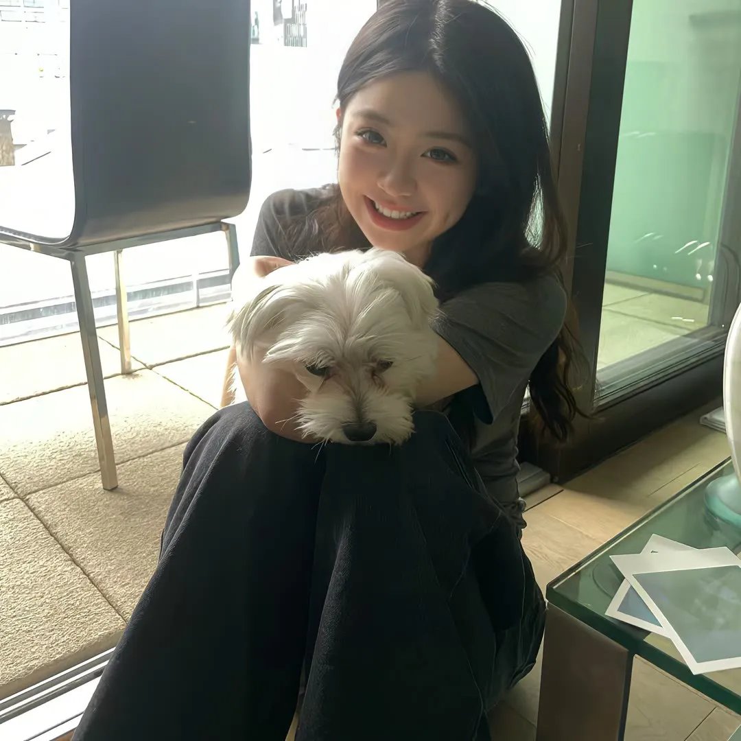 鼹鼠之歌完结篇